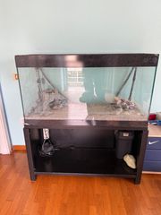 Ενυδρείο 200lt με βάση και εξοπλισμό