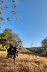 Honda Transalp 600 1996-thumb-6