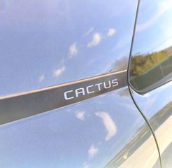 Citroen C4 Cactus 2019 1.2 e-THP Shine/ΑΥΤΟΜΑΤΟ/PANORAMA/CAMERA/LED/CRUISE/CLIMA-thumb-10