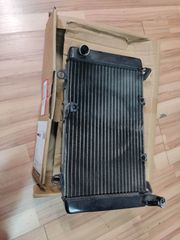 Ψυγείο γνήσιο HONDA CBF1000