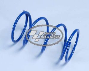 ΕΛΑΤΗΡΙΟ ΦΥΓΟΚΕΝΤΡΙΚΟΥ SH-300 POLINI