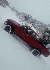 Volkswagen Taro 1991 TARO 4X4