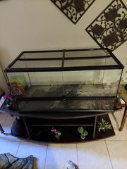 Τεραριο φιδιου