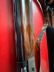 Rafaelo Benelli Special-thumb-2