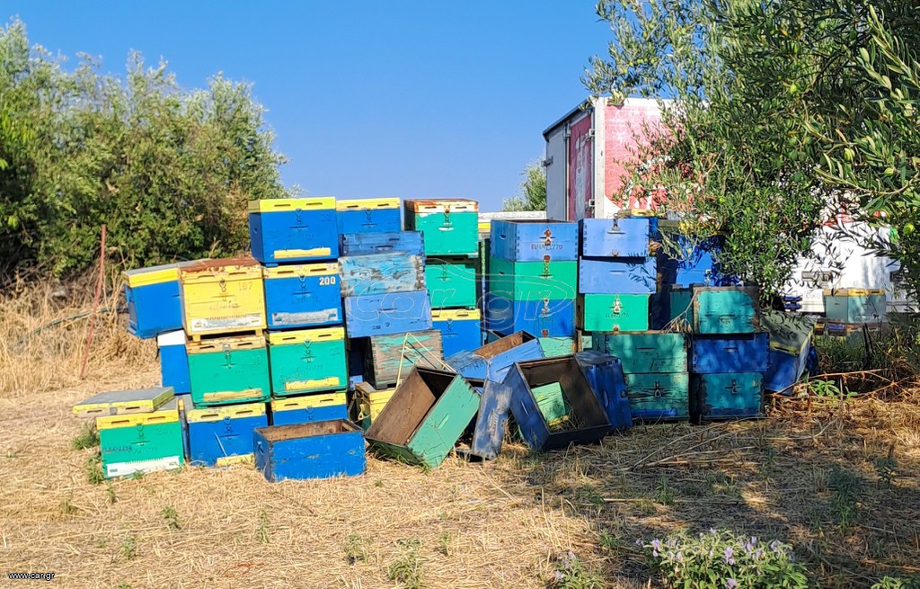 Κυψέλες,πατώματα και τελάρα
