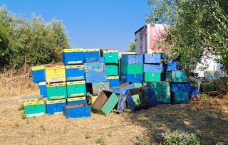 Κυψέλες,πατώματα και τελάρα