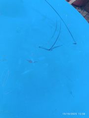 παιδικό τραπέζι