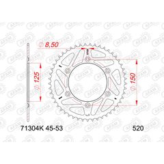 Πισω Γραναζι Σιδερενιο 71304K - 520 | Afam