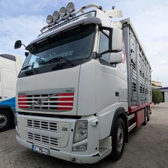 Ζωάδικο Volvo 2011 FH 13 500hp