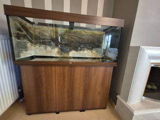 Juwel Rio 240 LED Dark Wood με έπιπλο, τιμή 350,00€