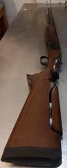 ATA ARMS SPORTING