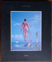 PINK FLOYD-SHINE ON(ΚΑΣΕΤΙΝΑ 9CD)