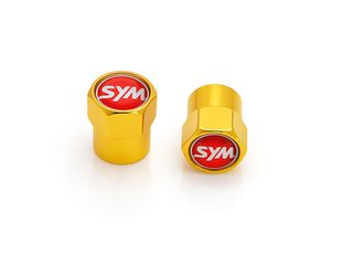 ΚΑΠΑΚΙΑ ΒΑΛΒΙΔΩΝ ΕΛΑΣΤΙΚΩΝ ΧΡΥΣΑ SYM