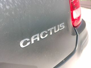 Citroen C4 Cactus 2015 HDI 100 FEEL,AUTOMATIC ΕΛΛΗΝΙΚΟ,ΧΩΡΙΣ ΤΕΛΗ-thumb-20