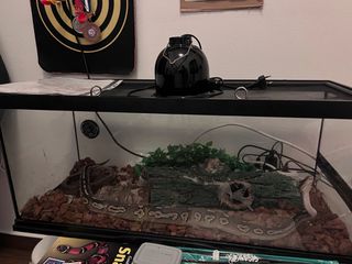 Ball python μέσα σε  Zoomed – ReptiHabitat Snake Kit With Terrarium 76x30x30cm