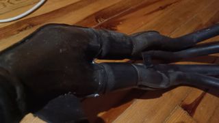 CB400 SF ΓΝΗΣΙΟ ΧΤΑΠΟΔΙ ΕΞΑΤΜΙΣΗΣ VERSION S-thumb-7