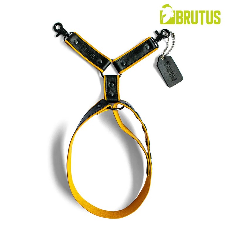 BRUTUS Leather Leg Harness  Black-Yellow