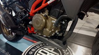 Morbidelli 2025 N300-thumb-12