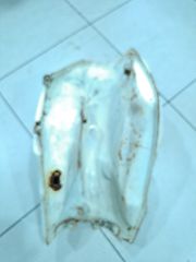 ΤΕΠΟΖΙΤΟ YAMAHA DT-200-thumb-2