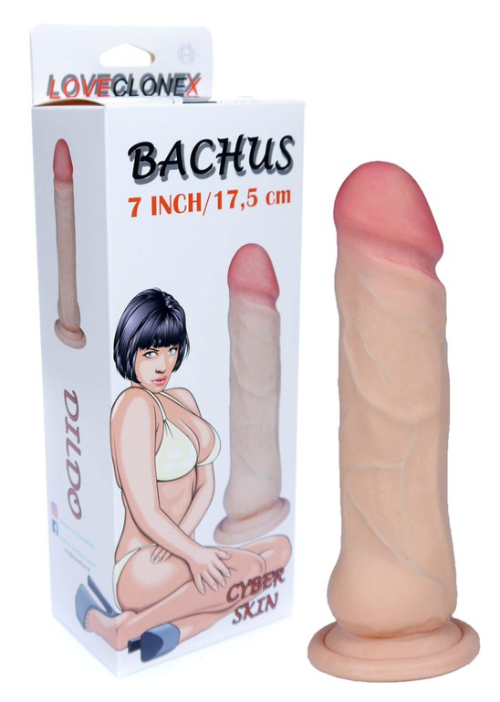BACHUS 7"