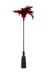 FEATHER CROP red-thumb-1