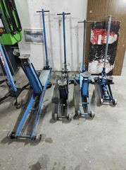 Γρύλοι/καροτσόγρυλοι/σασμανόγρυλοι