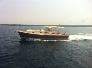 Καμπινάτο 2008