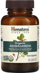 HIMALAYA ORGANIC ASHWAGANDHA 60CAPS
