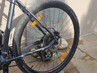 All - Mountain Bulls 2023 CROSSBIKE 1-thumb-5