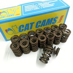 CAT CAMS Ελατήρια Βαλβίδων για BMW S50B30 D95009