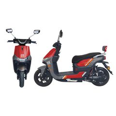 Daytona 2025 TAILG T70-thumb-1