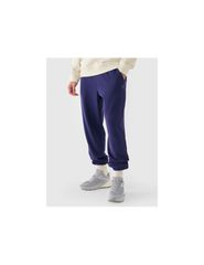Men's jogger sweatpants 4F 4FWMM00TTROM113931S