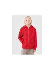 Boys' sweatshirt with a hood zipup 4F 4FJWSS25TSWSM185162S