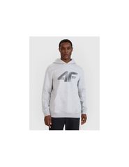 Men's sweatshirt with hood open 4F 4FWMM00TSWSM176627M