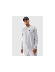 Men's sweatshirt without zipper without hood 4F 4FWMM00TSWSM176727M