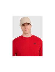 Men's sweatshirt without zipper without hood 4F 4FWMM00TSWSM1767062S