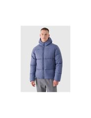 Men's winter down jacket with synthetic filling 4F 4FWAW24TDJAM48032S