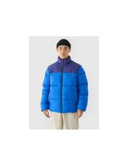 Men's winter down jacket with synthetic filling 4F 4FWAW24TDJAM48536S