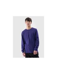 Longsleeve regular smooth men's 4F 4FWMM00TLONM43231S
