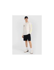 Men's longsleeve regular with print 4F 4FWSS25TLONM39211S