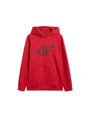 Sweatshirt 4F M 4FWMM00TSWSM1766 062S