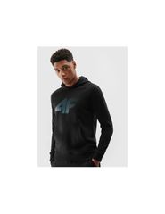 Men's hooded sweatshirt without zipper 4F 4F 4FWSS25TSWSM236720S