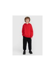 4F JUNIOR sweatshirt 4FJRAW25TSWSM249062S-thumb-5