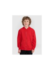 Boy's zipup hoodie sweatshirt 4F 4FJRAW25TSWSM248862S