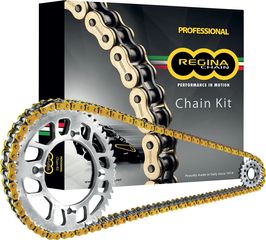 Κωδ.374930 REGINA Σετ Αλυσιδογράναζα ZRT KH166 χρυσό kit τηλ.215-215-8211
