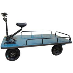 ΟΧΗΜΑ ΜΕΤΑΦΟΡΑΣ ΗΛΕΚΤΡΙΚΟ BORMANN PRO BWR 2600