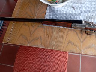 Δίκανο πλαγιόκανο