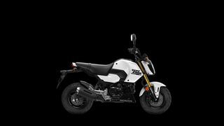 Honda MSX 125 2026 GROM ATOKA