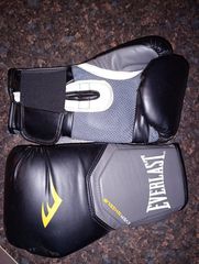 Everlast 14 oz boxing gloves
