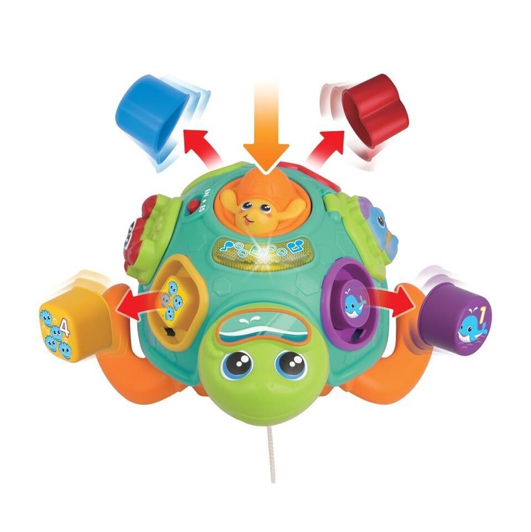 Winfun - Pull Along Sort 'N Learn Turtle (240301-NL) / Toys